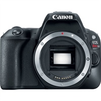 Canon 200D/SL2 replacement mentioned