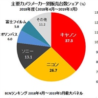 BCN reports on the annual sales data