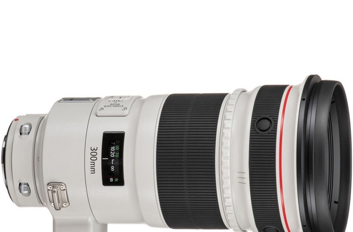 New Rumor: Canon to launch a Canon RF 300mm 2.8 L IS USM in 2020