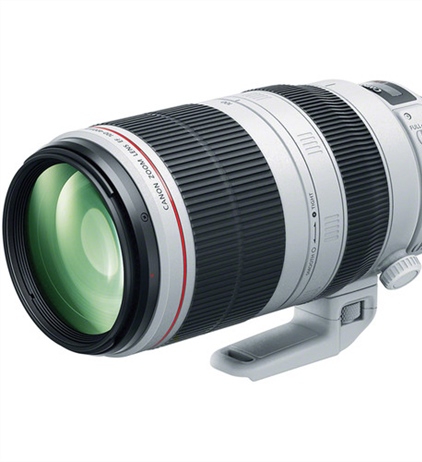 Canon RF super telephoto zoom coming in 2020?