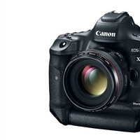 E-Bay deals on selected Canon camera bodies