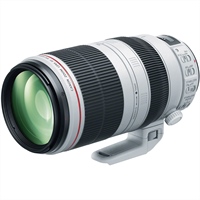 New Rumor: Canon RF 100-500 on it's way