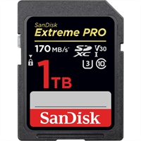 Sandisk Thanksgiving Specials