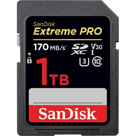 Sandisk Thanksgiving Specials