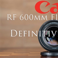 Canon RF 600mm F11 IS STM Review