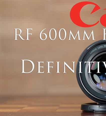 Canon RF 600mm F11 IS STM Review