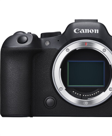 Canon EOS R6 Mark II Mirrorless Bundle