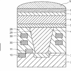 Canon continues to look at organic sensors