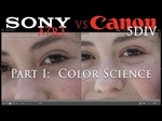 Canon Color Science: 5D Mark IV versus the A7R III