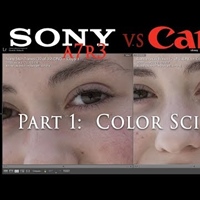 Canon Color Science: 5D Mark IV versus the A7R III