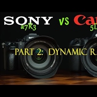 Dynamic Range: Part 2 of the Canon 5D Mark IV to A7RIII comparison