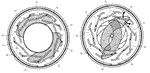 Canon Patent Application new method of creating a circular aperture