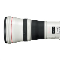 Rumor: New Canon Supertelephoto lenses are coming