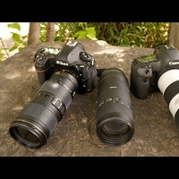 Dpreview field test, the 70-200/4 shootout