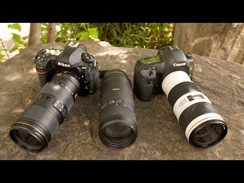 Dpreview field test, the 70-200/4 shootout