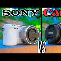 Video Review the Canon M50 against the A6000 - the budget creator camera battle!