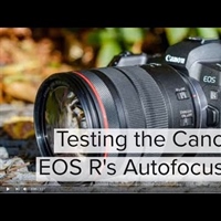 Canon EOS R Autofocus test