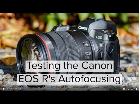 Canon EOS R Autofocus test