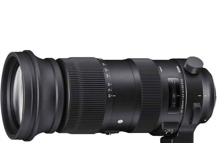 Sigma 60-600mm sample gallery