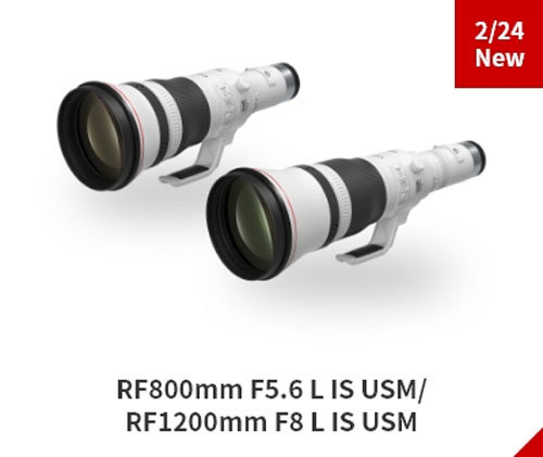 Canon RF 1200MM f8 L IS USM